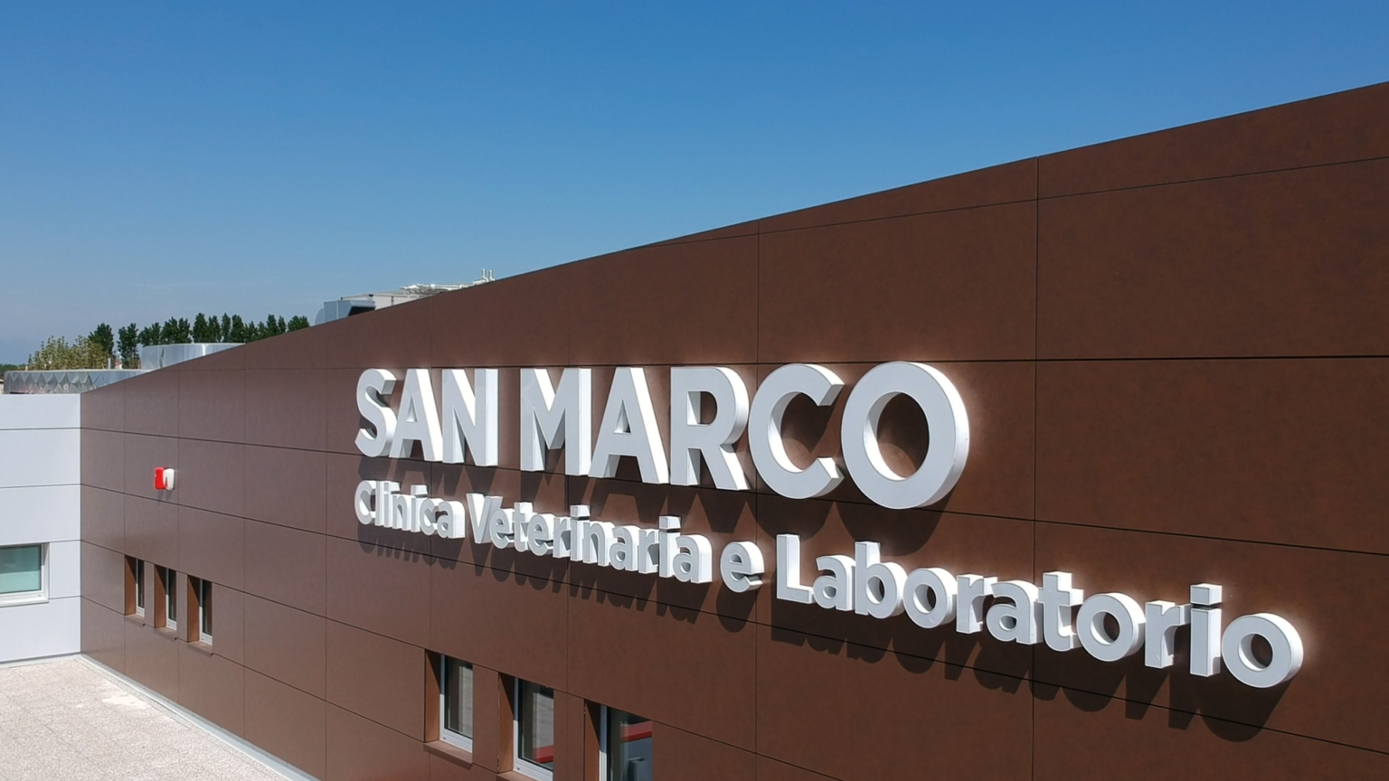 Clinica Veterinaria San Marco: una struttura per la veterinaria da oltre 30 anni
