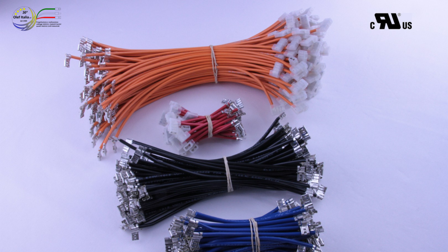 Olef Italia: azienda giovane e dinamica con una squadra di 18 collaboratori