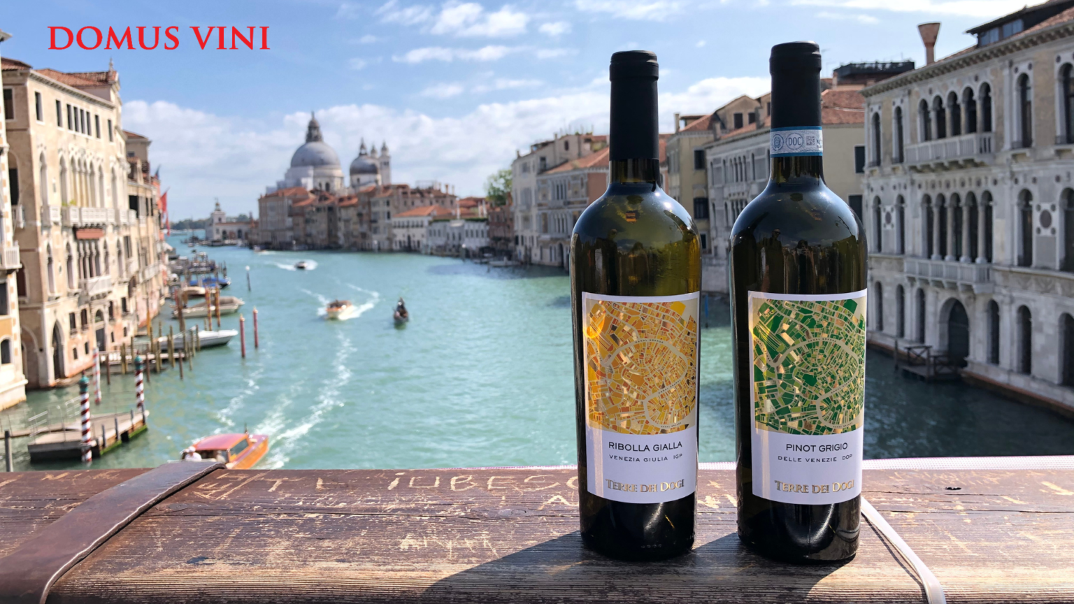 Domus Vini: nasce dalla famiglia Vedovato dai primi del 900