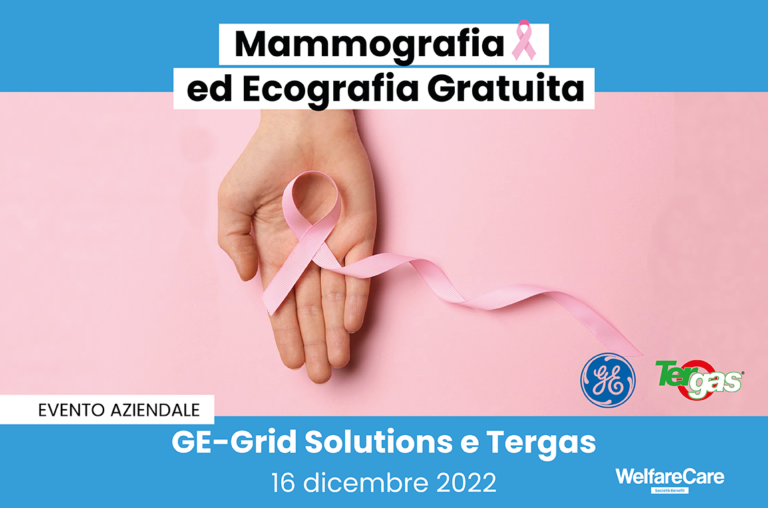 GE-GridSolutionsTergas