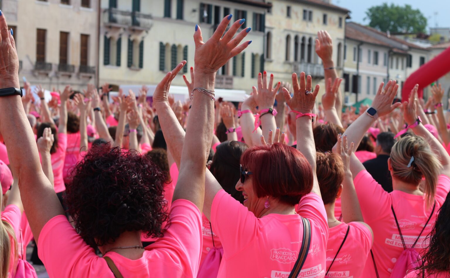 Castelfranco in Rosa