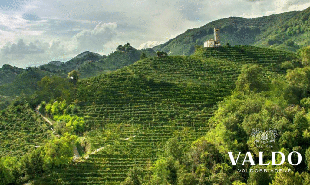 Valdo Spumanti: azienda vinicola fondata nel 1926 a Valdobbiadene